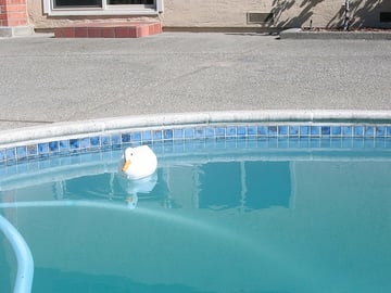 The Dangers Of Cloudy Pool Water Culture Of Safety