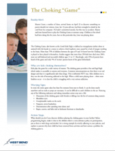 PDF Choking Game PDF Choking Game